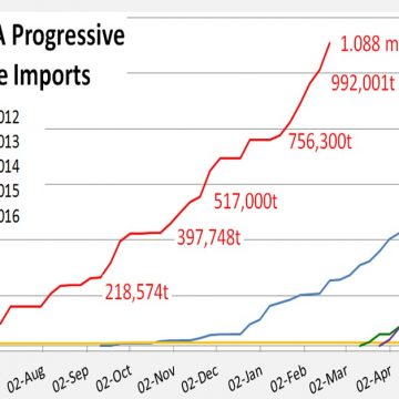 Total RSA Progressive Maize Imports