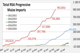 South African maize imports