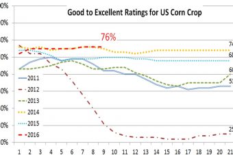 U.S. Crop progress report