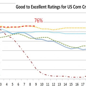 U.S. Crop progress report