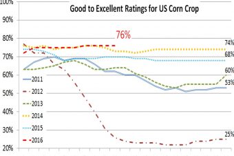 U.S. corn crop progress report