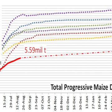 South African maize producer deliveries