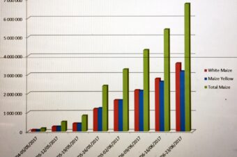 South African maize deliveries to date.